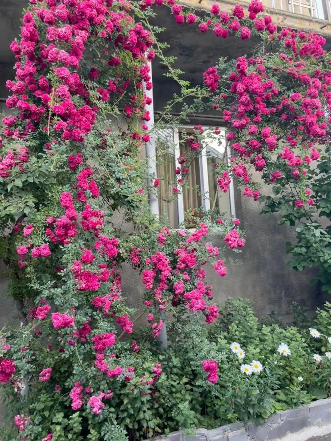 Inexpensive House Bed & Breakfast Vanadzor Bagian luar foto